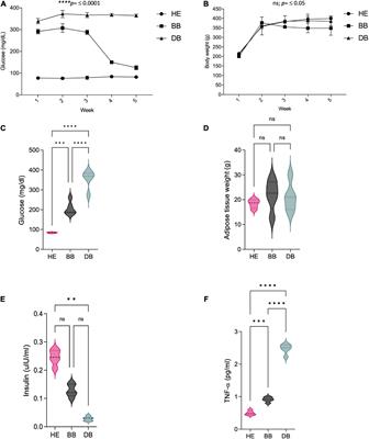 Anthocyanin-rich extract from black beans exerts anti-diabetic effects in rats through a multi-genomic mode of action in adipose tissue